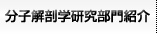 分子解剖学研究部門紹介