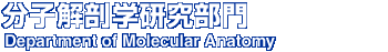 分子解剖学研究部門 Department of Molecular Anatomy