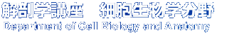分子解剖学研究部門 Department of Molecular Anatomy