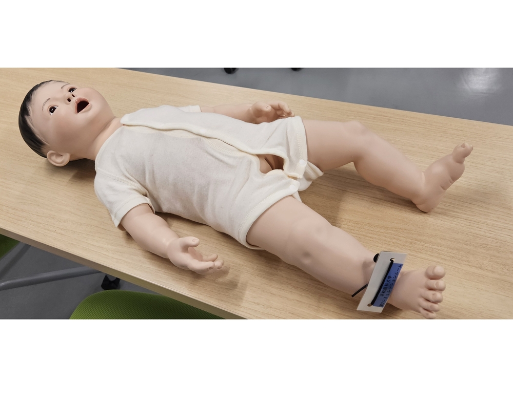 乳幼児看護実習モデル.jpg