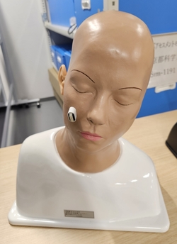 耳診察シミュレータ(日本ライトサービス).jpg