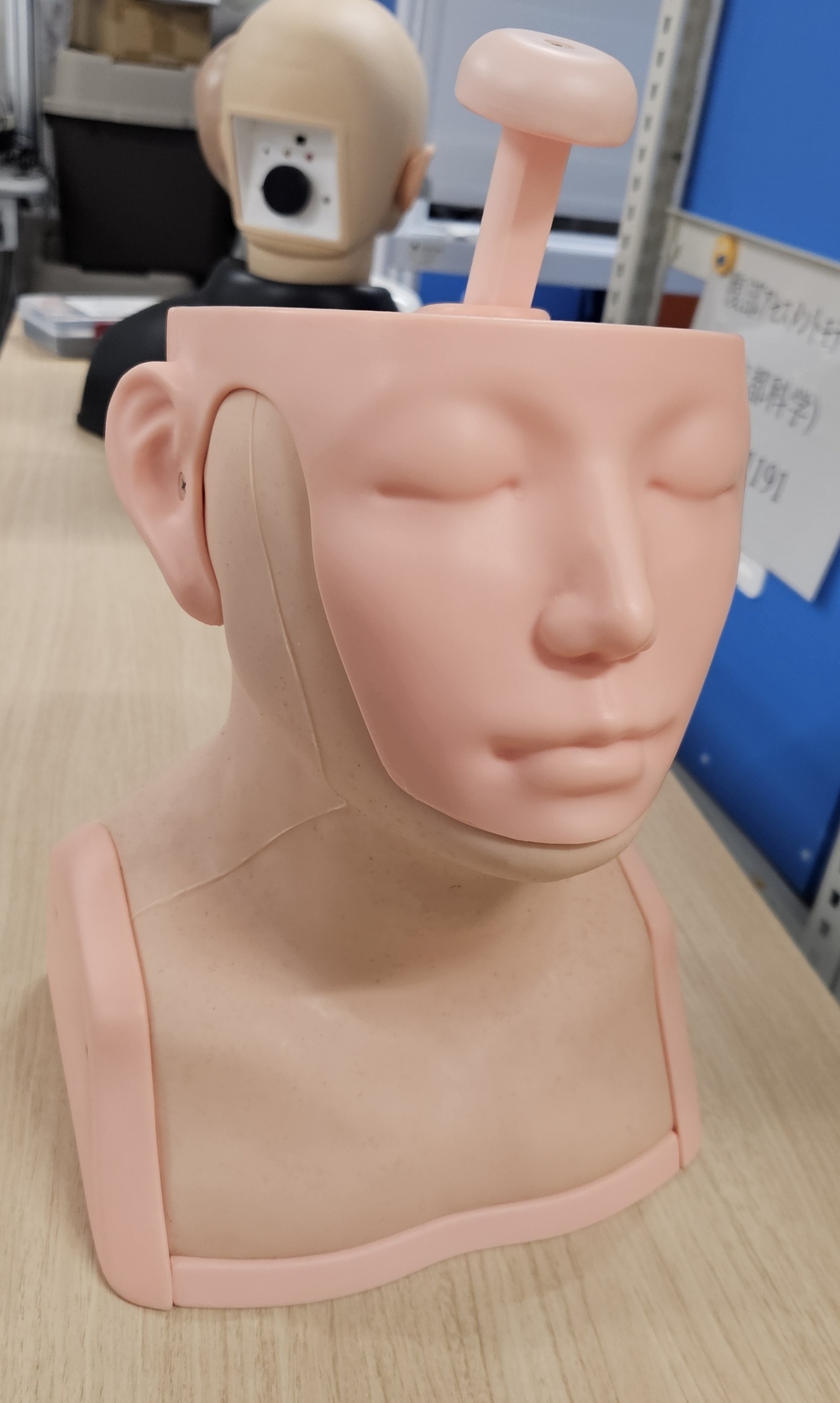 頸部触診モデル.jpg