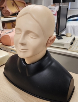 耳診察シミュレータ EARⅡ.jpg