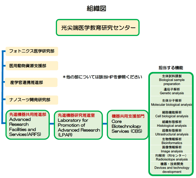 組織図