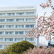 附属病院