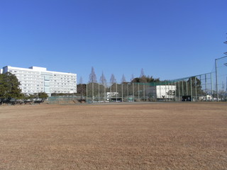 野球場