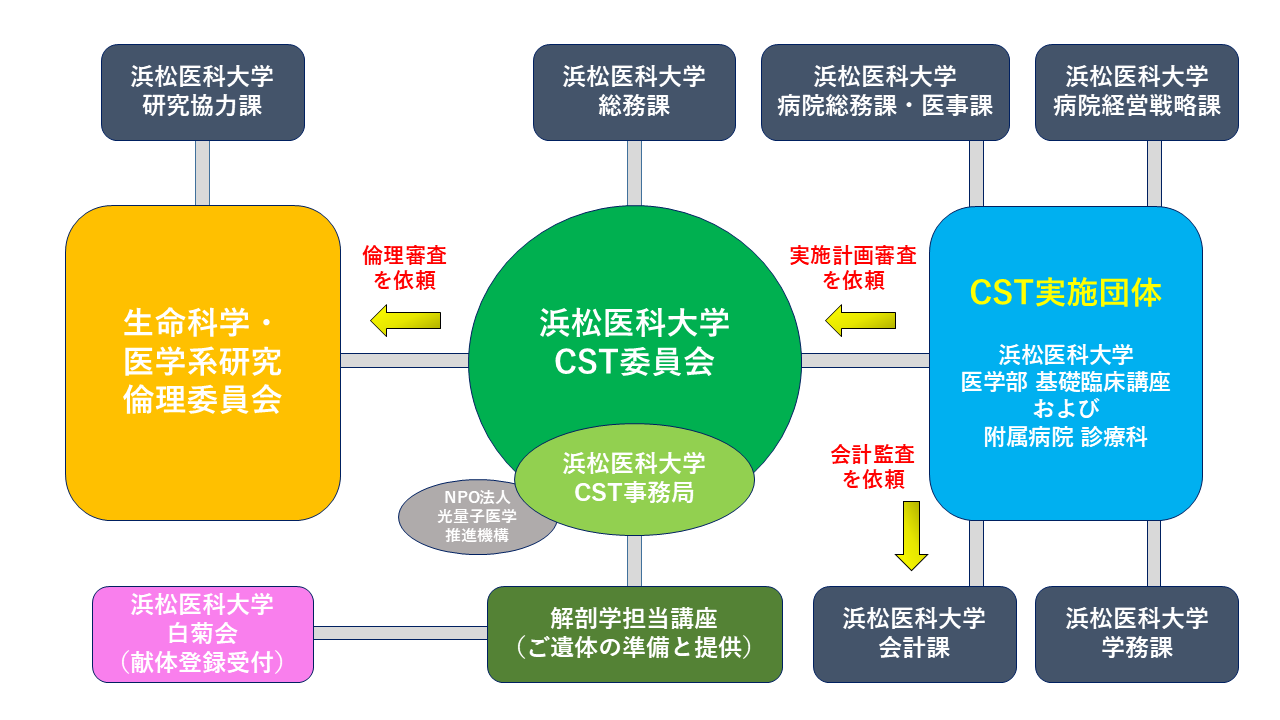 R8HP組織図.png