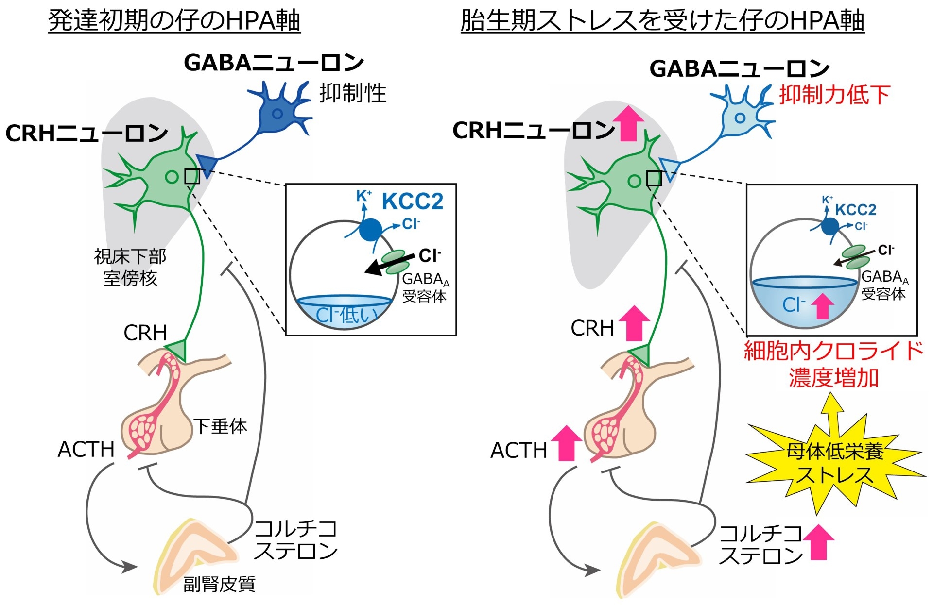 thumbnail_図切り抜き.jpg