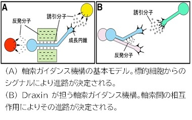 画像5.png