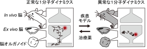 図1.jpgのサムネイル画像