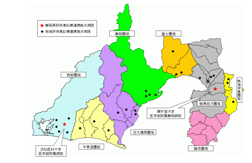 静岡県肝疾患診療連携拠点病院地図.png