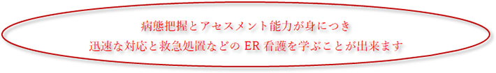 態把握とアセスメント能力が身につき迅速な対応と救急処置などのER看護を学ぶことが出来ます