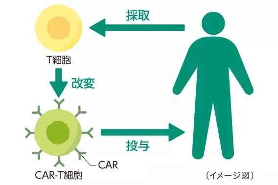 CAR-T.png