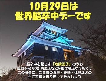 20241108　1019 20 29　地連　世界脳卒中デーライトアップ　浜松城　（ＨＰ用）.jpg