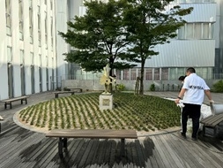 ＨＰ用　0730外来棟中庭清掃Ｒ6　4　9767.jpg