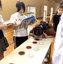 20260619　0610有玉小　感染対策教室　4微生物の観察.jpg