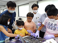 20240823　感染対策　親子3（口腔内菌グラム染色）②.png