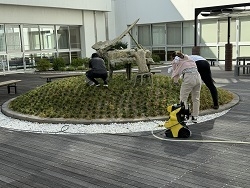 ＨＰ用　0730外来棟中庭清掃Ｒ6　5　9763.jpg