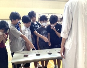 20260619　0610有玉小　感染対策教室　5微生物の観察2.jpg