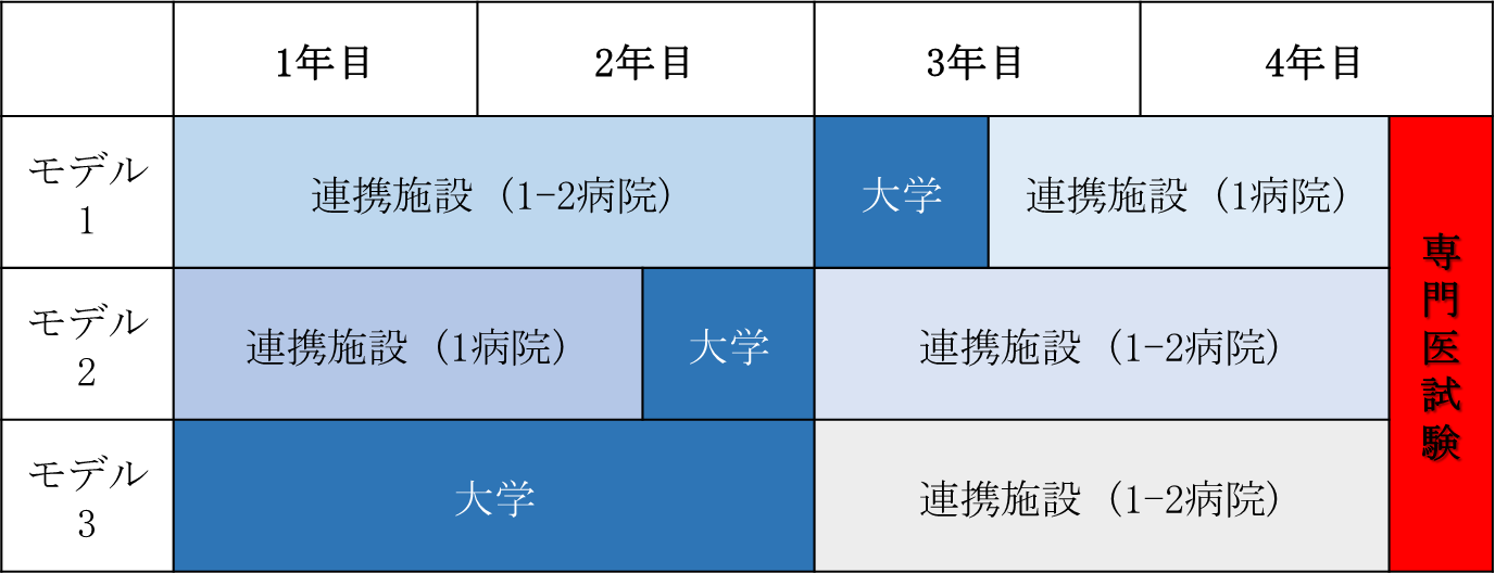 専攻医研修基本モデル.png