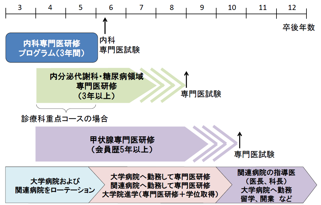 (裁断済)内分泌代謝・糖尿病内科領域専門医研修ガイドブック 内分泌代謝・糖尿病内科領域専門医研修ガイドブック | 日本