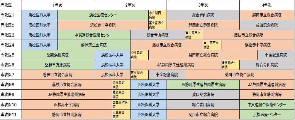 整形外科：専攻医研修モデル.png