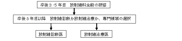 放射線科（基本進路）.png