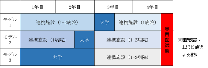 整形外科　専攻医研修基本モデル.png