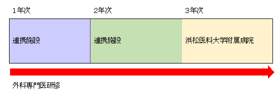 外科（研修例2）.png