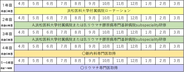 1-3-3免疫リウマチ内科　表.jpg