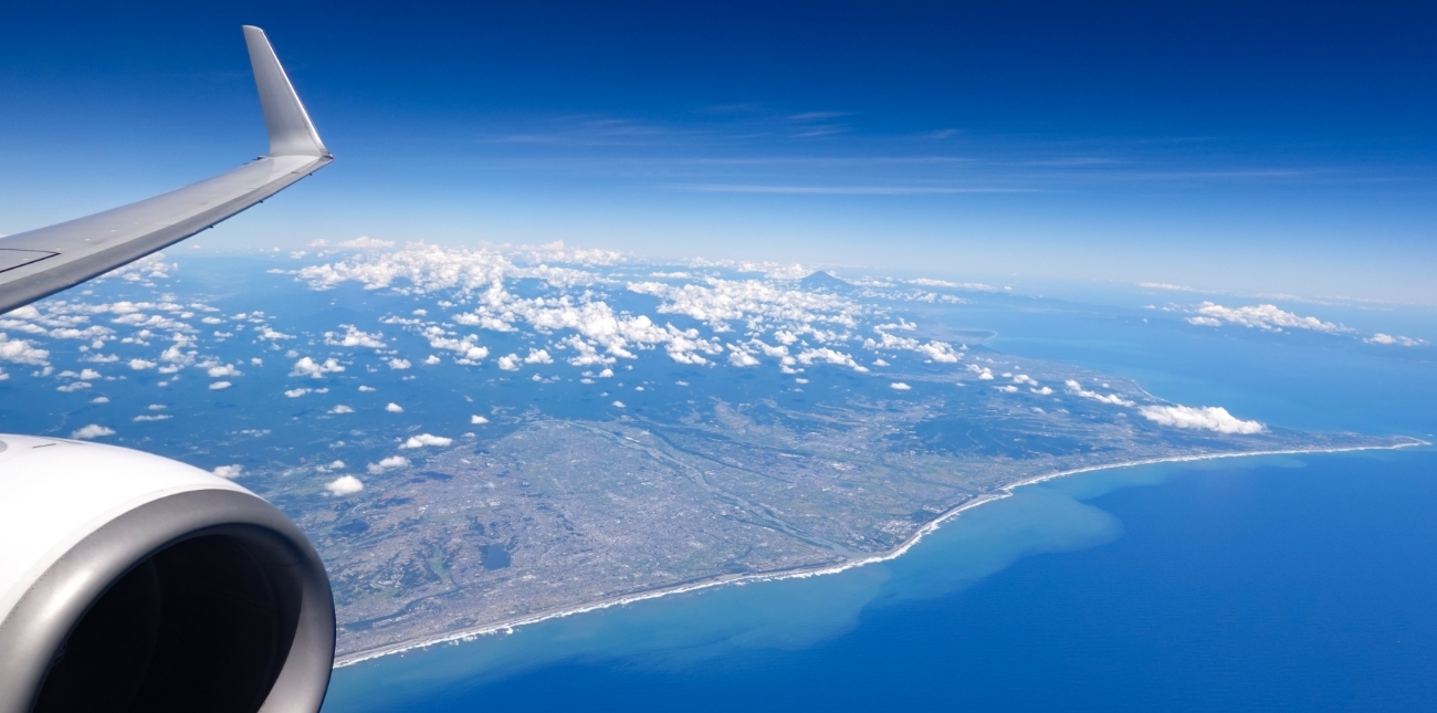 Hamamatsu city from above