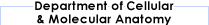 Department of Cellular & Molecular Anatomy