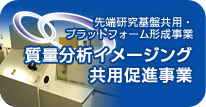 先端研究基盤共用・プラットフォーム形成事業