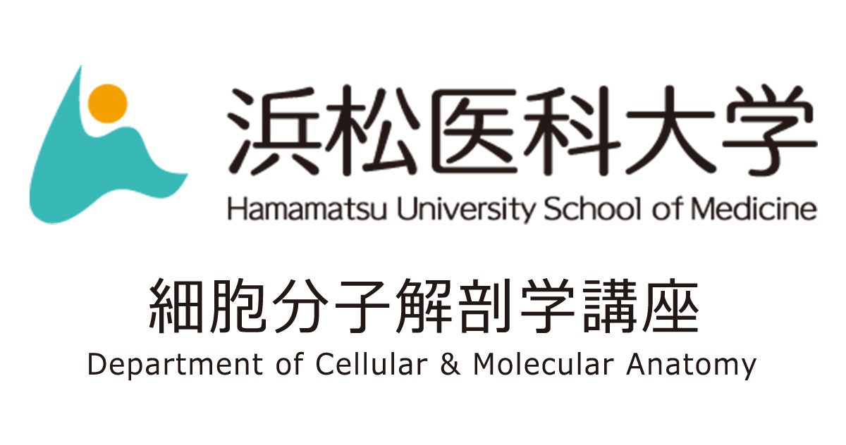 お知らせ｜細胞分子解剖学講座