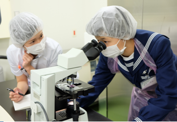 職場体験 職場体験