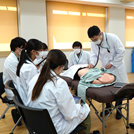 医学部医学科